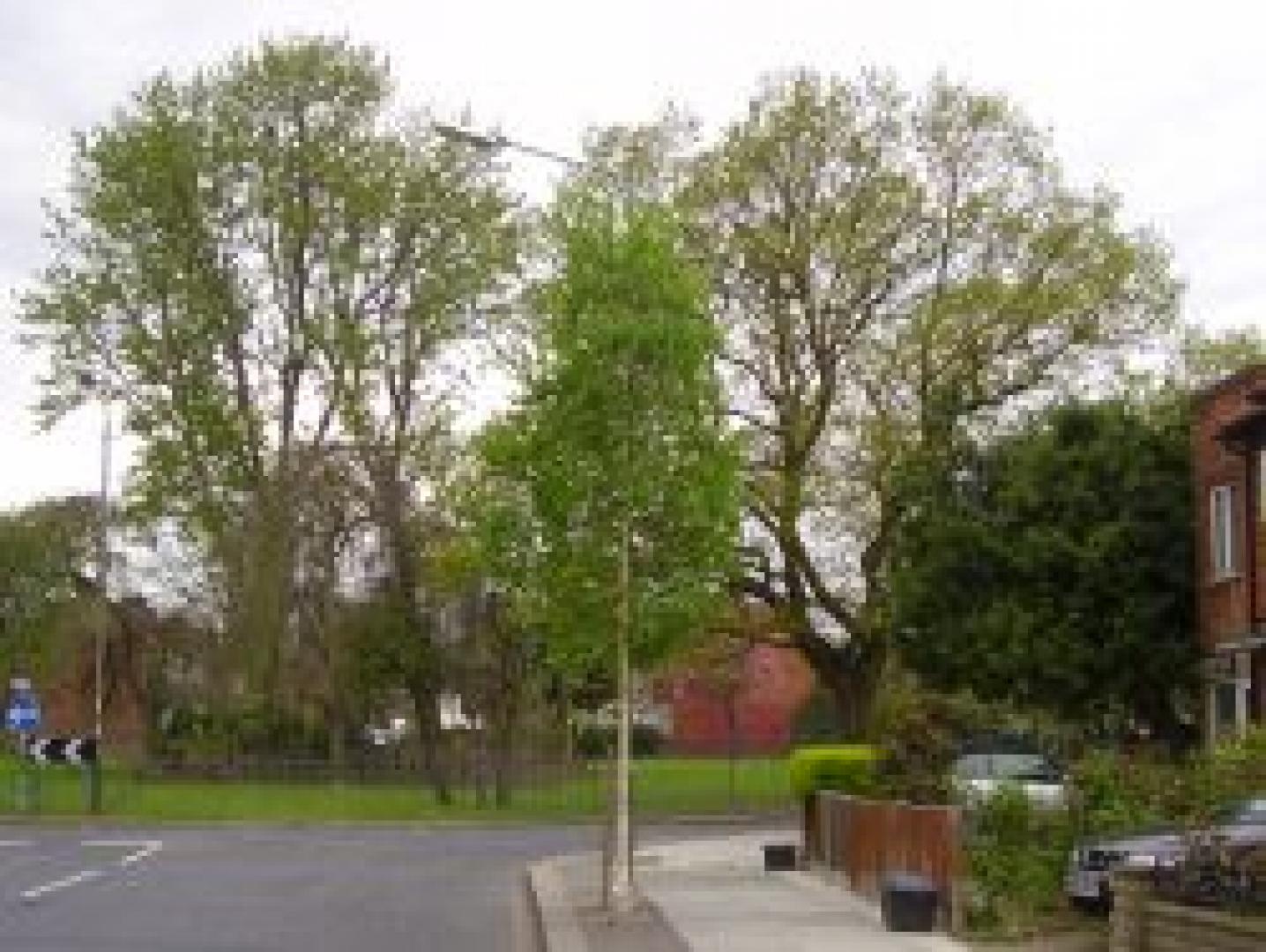 			NEW ON!, 1 Bedroom, 1 bath, 1 reception Flat			 Penine Drive, GOLDERS GREEN NW2